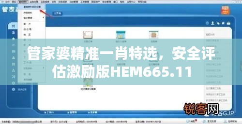管家婆精準(zhǔn)一肖特選，安全評(píng)估激勵(lì)版HEM665.11