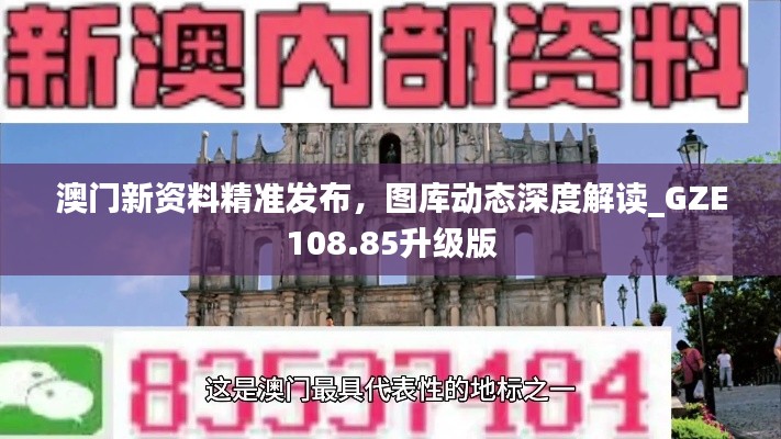 澳門新資料精準發(fā)布，圖庫動態(tài)深度解讀_GZE108.85升級版