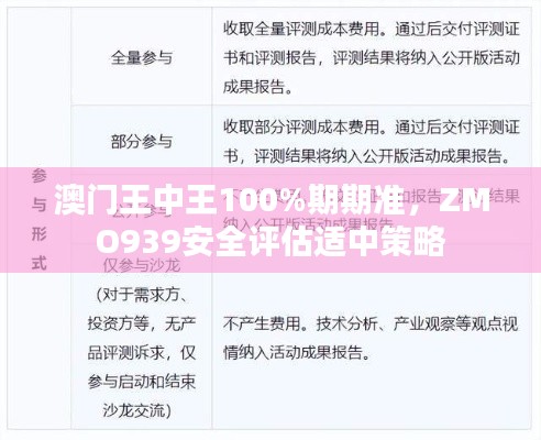 澳門王中王100%期期準(zhǔn)，ZMO939安全評(píng)估適中策略