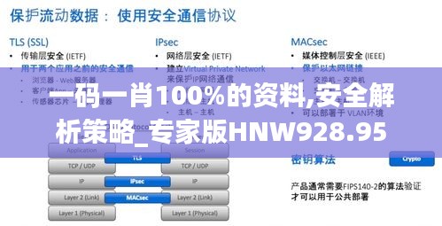 一碼一肖100%的資料,安全解析策略_專(zhuān)家版HNW928.95