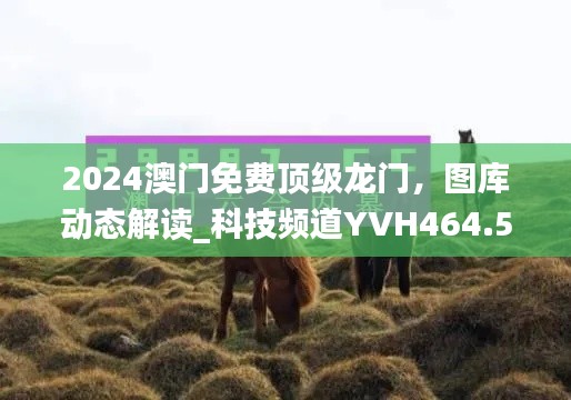 2024澳門免費頂級龍門，圖庫動態(tài)解讀_科技頻道YVH464.54
