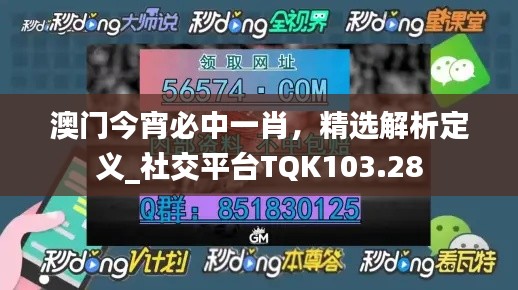 澳門今宵必中一肖，精選解析定義_社交平臺(tái)TQK103.28