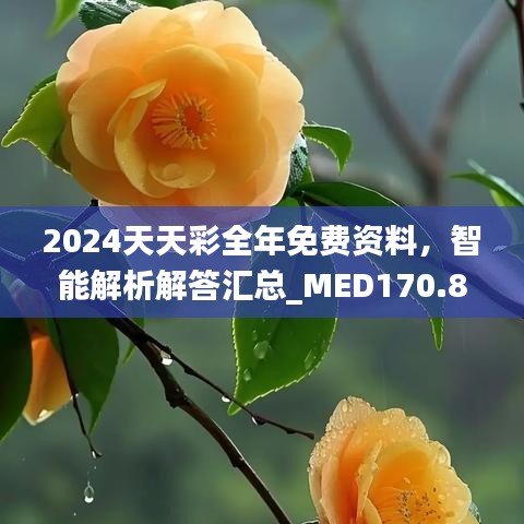 2024天天彩全年免費資料，智能解析解答匯總_MED170.88版