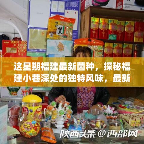 福建小巷深處的獨(dú)特風(fēng)味，最新菌種小店之旅探秘記