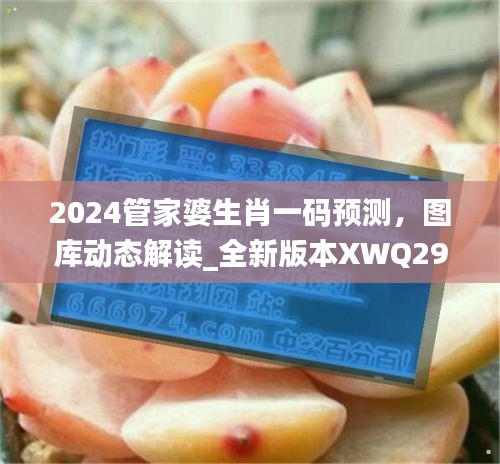2024管家婆生肖一碼預(yù)測(cè)，圖庫(kù)動(dòng)態(tài)解讀_全新版本XWQ290.47