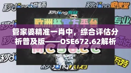 管家婆精準一肖中，綜合評估分析普及版——OSE672.62解析