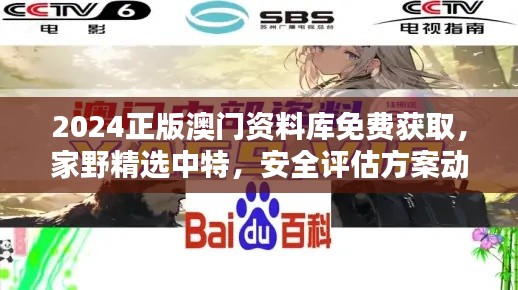 2024正版澳門資料庫免費獲取，家野精選中特，安全評估方案動畫版RQF945.86