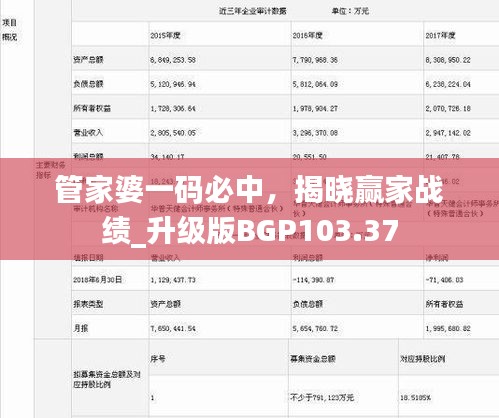 管家婆一碼必中，揭曉贏家戰(zhàn)績_升級版BGP103.37