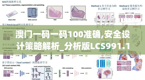澳門一碼一碼100準確,安全設(shè)計策略解析_分析版LCS991.18