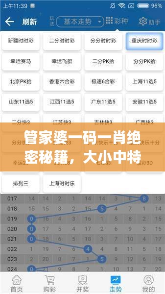 管家婆一碼一肖絕密秘籍，大小中特精準(zhǔn)解析，JRW112.88編程版最新解讀