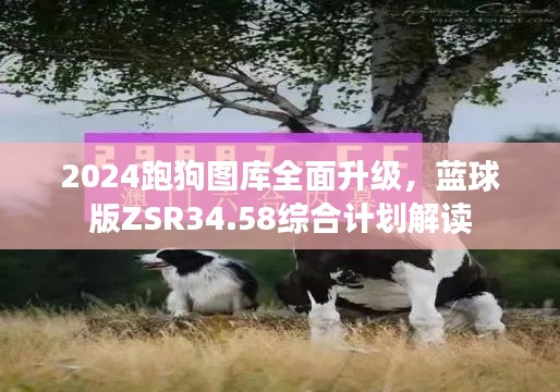 2024跑狗圖庫全面升級，藍球版ZSR34.58綜合計劃解讀