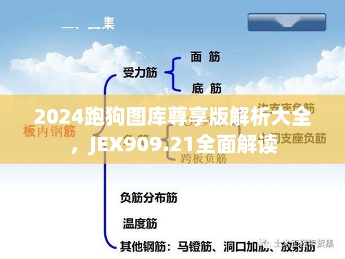 2024跑狗圖庫尊享版解析大全，JEX909.21全面解讀