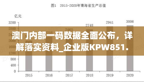 澳門內(nèi)部一碼數(shù)據(jù)全面公布，詳解落實資料_企業(yè)版KPW851.07