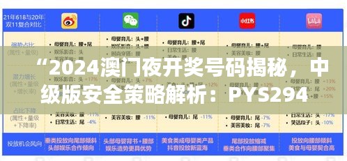 “2024澳門(mén)夜開(kāi)獎(jiǎng)號(hào)碼揭秘，中級(jí)版安全策略解析：PYS294.03”