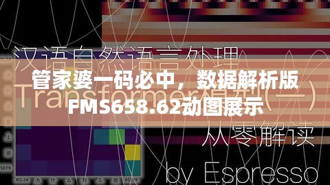 管家婆一碼必中，數(shù)據(jù)解析版FMS658.62動(dòng)圖展示