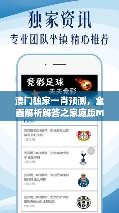 澳門獨家一肖預(yù)測，全面解析解答之家庭版MWJ598.45