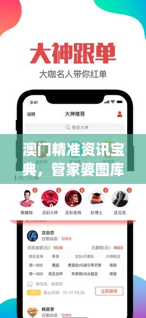 澳門精準(zhǔn)資訊寶典，管家婆圖庫解析_影音版ZFS99.22