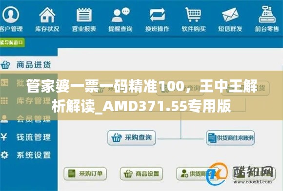 管家婆一票一碼精準(zhǔn)100，王中王解析解讀_AMD371.55專(zhuān)用版