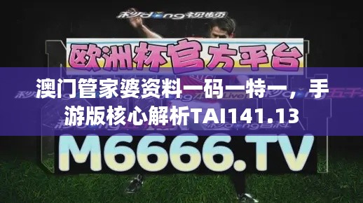 澳門管家婆資料一碼一特一，手游版核心解析TAI141.13
