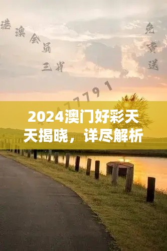 2024澳門好彩天天揭曉，詳盡解析BQY231.21和諧版