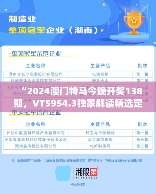 “2024澳門特馬今晚開獎138期，VTS954.3獨家解讀精選定義”