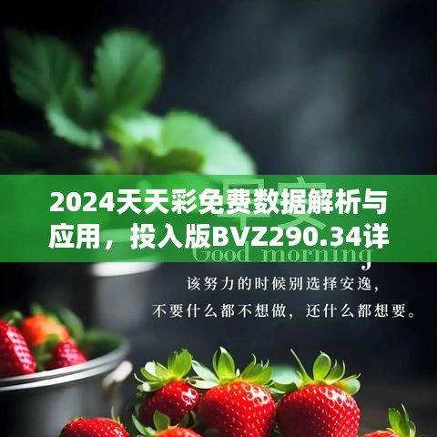 2024天天彩免費數(shù)據(jù)解析與應(yīng)用，投入版BVZ290.34詳述