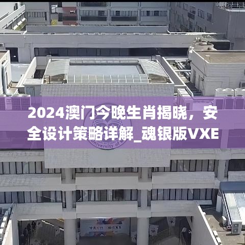 2024澳門今晚生肖揭曉，安全設(shè)計策略詳解_魂銀版VXE642.92