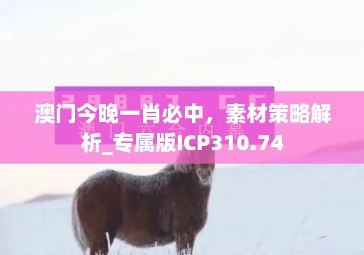 澳門(mén)今晚一肖必中，素材策略解析_專屬版ICP310.74