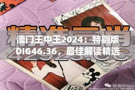 澳門王中王2024：特別版DIG46.36，最佳解讀精選版