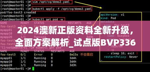 2024澳新正版資料全新升級，全面方案解析_試點(diǎn)版BVP336.32