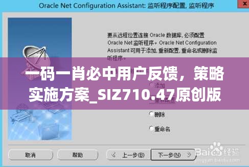 一碼一肖必中用戶反饋，策略實施方案_SIZ710.47原創(chuàng)版