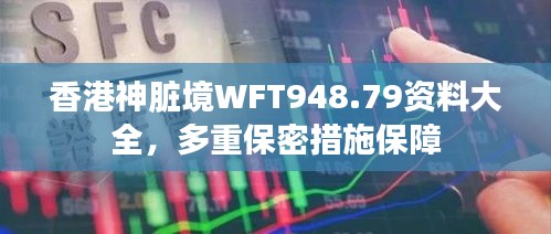 香港神臟境WFT948.79資料大全，多重保密措施保障