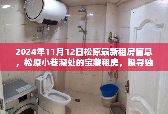 松原寶藏租房探尋，小巷深處的特色房源與隱藏小店（2024年11月最新）