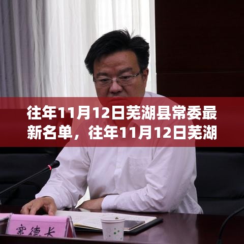 往年11月12日蕪湖縣常委最新名單詳解，深度評測與介紹