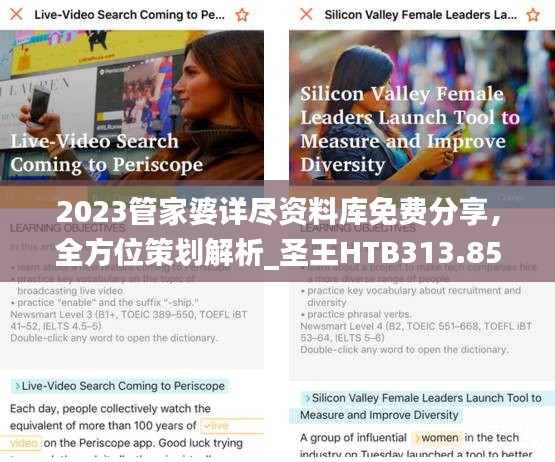2023管家婆詳盡資料庫(kù)免費(fèi)分享，全方位策劃解析_圣王HTB313.85