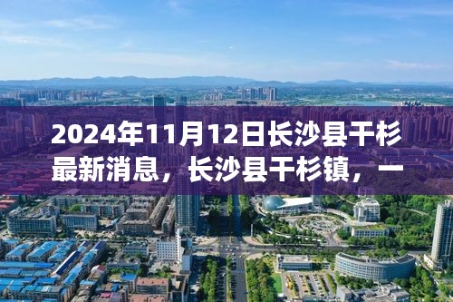 長沙縣干杉鎮(zhèn)，溫馨日常的奇遇記（最新消息2024年11月12日）