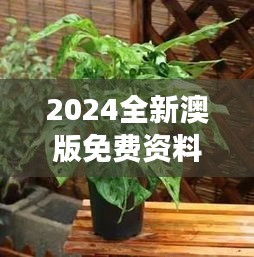 2024全新澳版免費(fèi)資料集，植物防護(hù)秘籍——九天太仙FLQ414.11