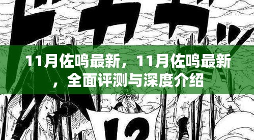 11月佐鳴最新，全面評(píng)測與深度介紹