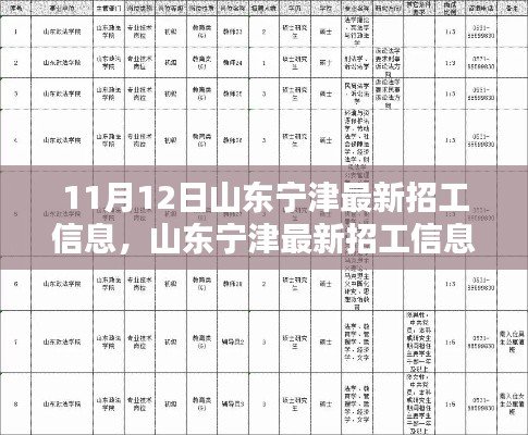 山東寧津最新招工信息，就業(yè)機遇與挑戰(zhàn)揭秘