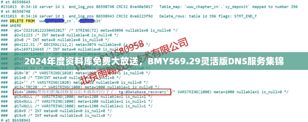 2024年度資料庫免費(fèi)大放送，BMY569.29靈活版DNS服務(wù)集錦