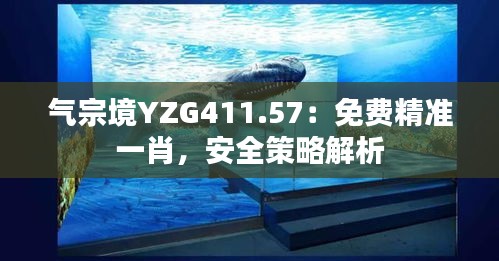 氣宗境YZG411.57：免費(fèi)精準(zhǔn)一肖，安全策略解析