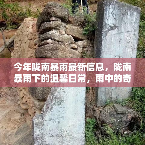 隴南暴雨下的溫馨日常，雨中奇遇與家的溫暖最新報道