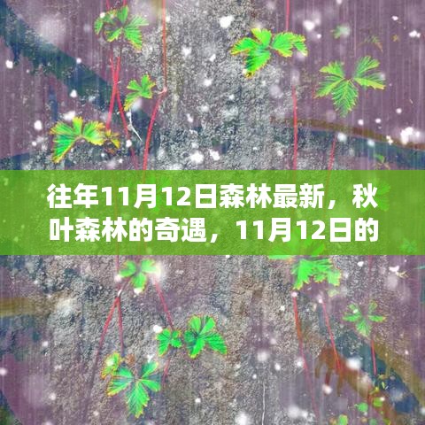 秋日森林奇遇，溫馨記憶中的最新秋葉森林
