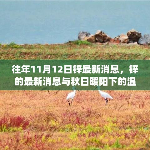 秋日暖陽下的鋅情，最新鋅消息與溫情故事回顧