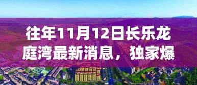 獨家揭秘，往年11月12日長樂龍庭灣最新動態(tài)與細節(jié)曝光！
