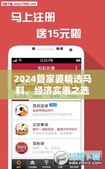 2024管家婆精選馬料，經(jīng)濟實惠之選——NBO943.87超凡推薦