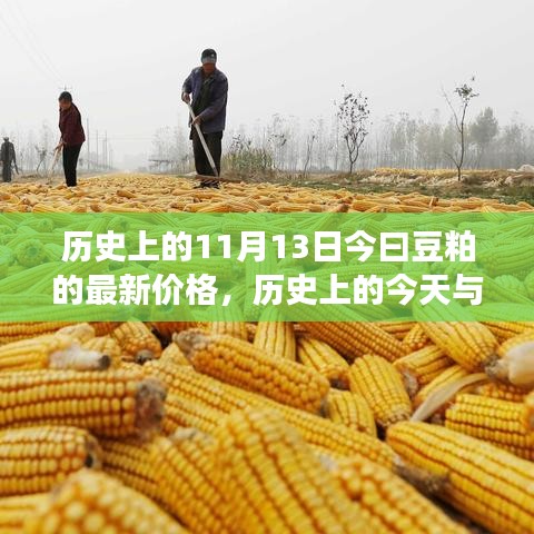 揭秘豆粕市場，今日價格走勢與歷史上的今天關(guān)聯(lián)揭秘