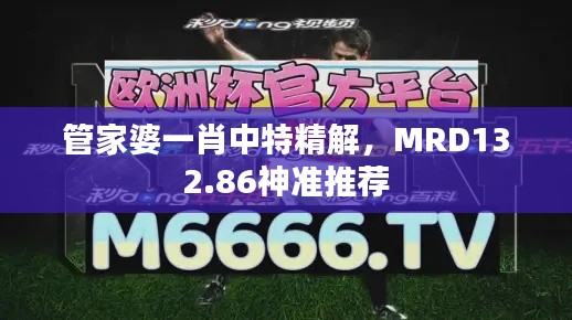 管家婆一肖中特精解，MRD132.86神準(zhǔn)推薦