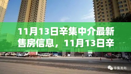 11月13日辛集中介最新售房信息全面解析與評(píng)測