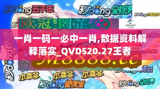 一肖一碼一必中一肖,數據資料解釋落實_QVD520.27王者
